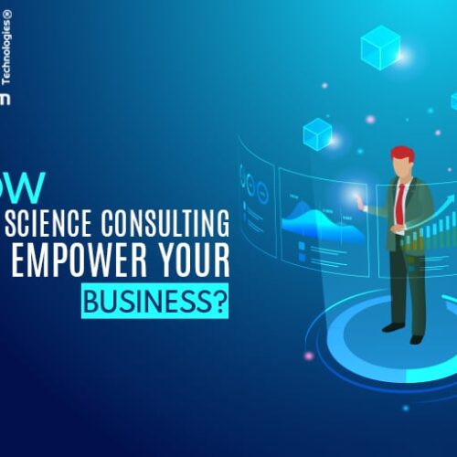 Best Data Science Consulting Service