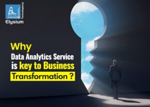 Business Data Analytics Service