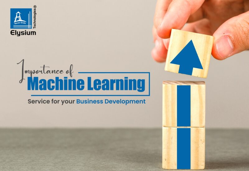 Machine Learning consulting Services